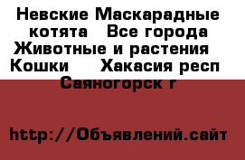 Невские Маскарадные котята - Все города Животные и растения » Кошки   . Хакасия респ.,Саяногорск г.